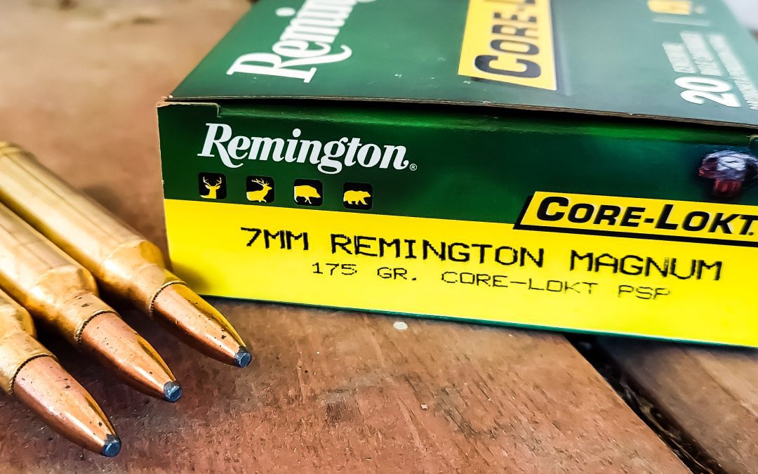 Having Trouble Finding Ammo? Read This…